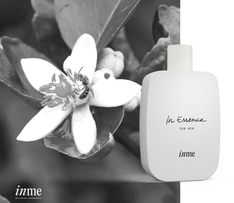 INME IN ESSENCE EDP