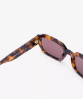 S3_M1C6_DOWNEY_Tortoise_3