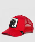 101-0381-RED-L01