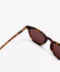 S2_M1C2_NEW_DEPP_Tortoise_3