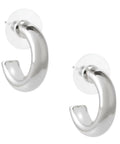ritz-ear-silver