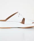 SB-restock July10 2025-3201