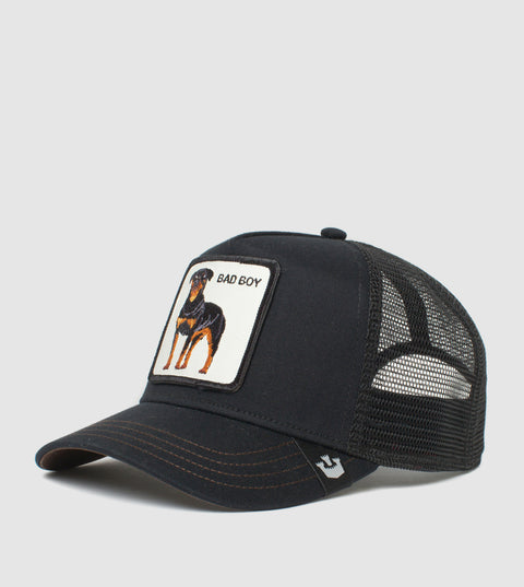 101-0493-BLK-L01