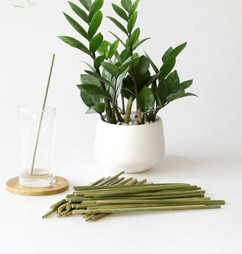 Eco-friendly Grass Drinking Straw