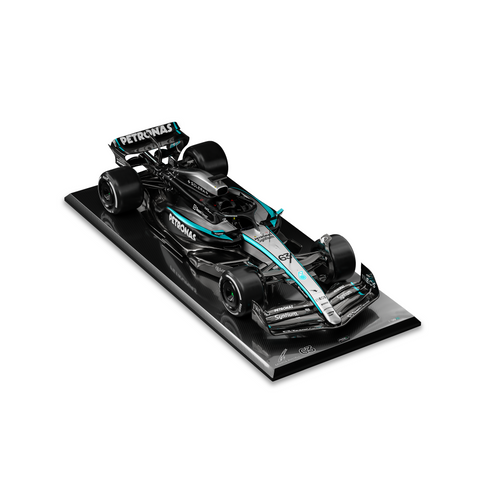 1:4 Scale Formula 1 Mercedes W16 Wall Sculpture