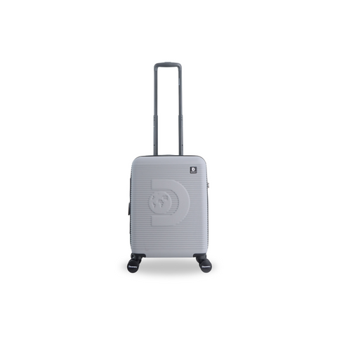 cabin luggage (2)