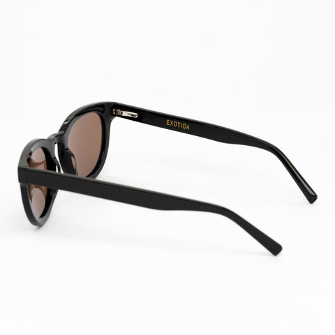 Monarch Sunglasses | Black Frames & Brown Lenses