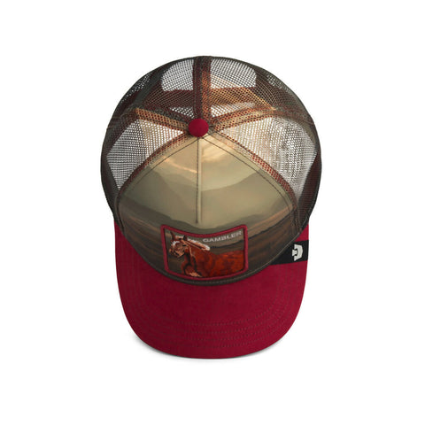 Goorin Bros. Stallion In The Element Trucker Cap