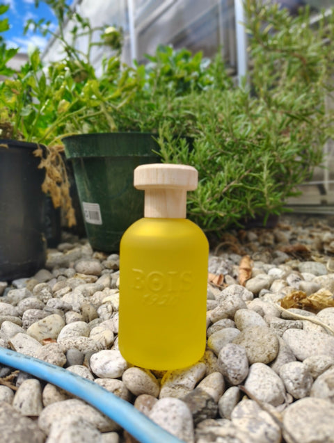 BOIS 1920 CANNABIS FRUTATTA EDP
