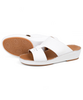 SB377_White_2