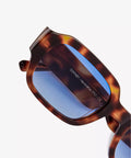 DWTOBL_DOWNEY_Tortoise_3