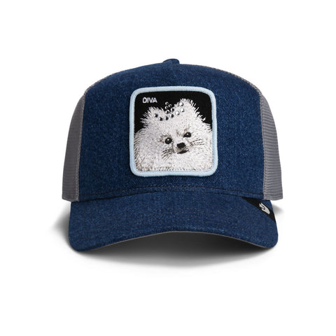 Goorin Bros. Diva Dawg Trucker Cap