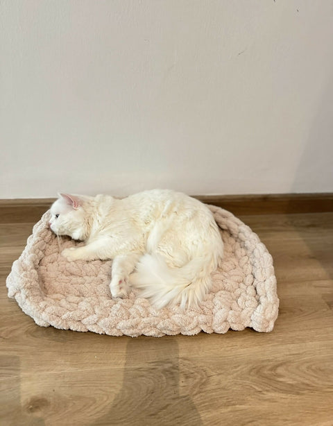 Pet bed