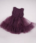 1042-2335-1013 PURPLE (2)
