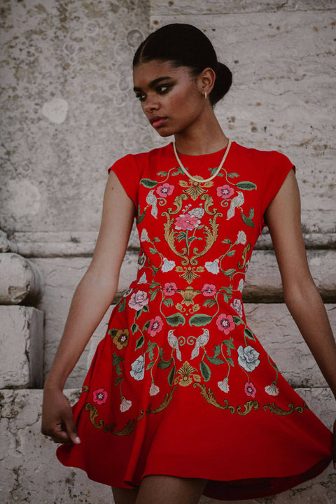 Madeline Embroidered Red Mini Dress