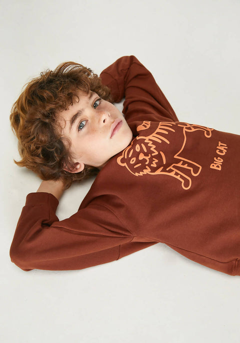 Brown Sweatshirt