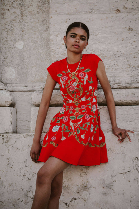 Madeline Embroidered Red Mini Dress