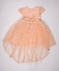 TD-2357 SALMON (2)