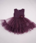 1042-2335-1013 PURPLE (1)