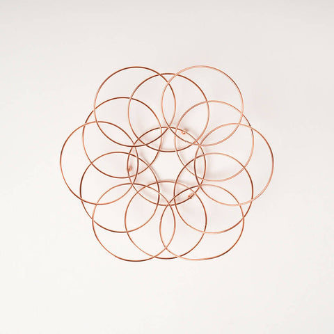 Wire Rose Supla