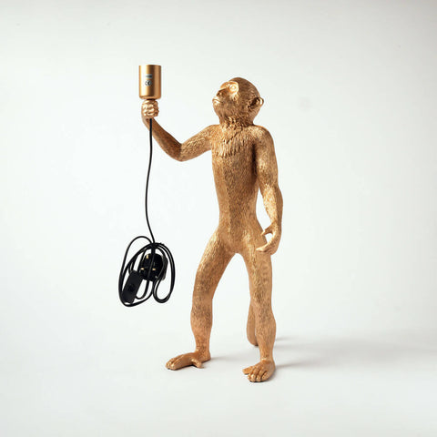 Standing Monkey Lighting